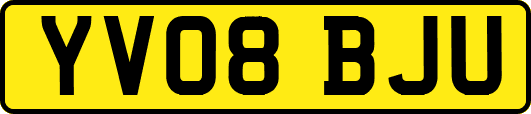 YV08BJU