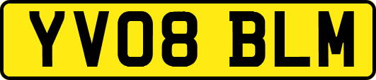 YV08BLM