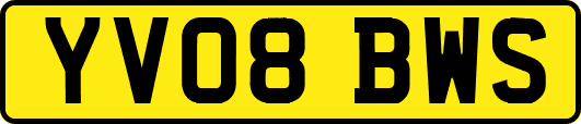 YV08BWS