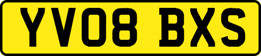 YV08BXS