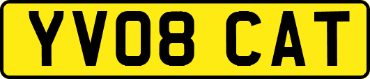 YV08CAT