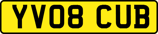 YV08CUB