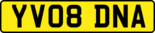 YV08DNA