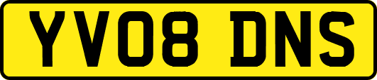 YV08DNS