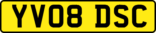 YV08DSC