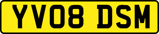 YV08DSM