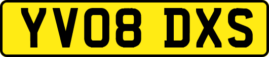 YV08DXS