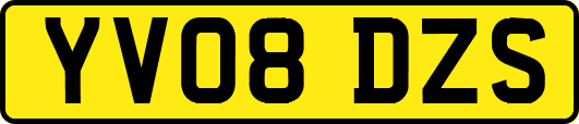 YV08DZS