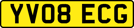 YV08ECG