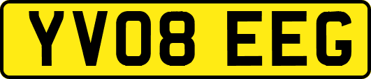 YV08EEG