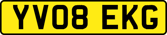 YV08EKG