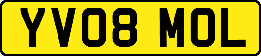 YV08MOL