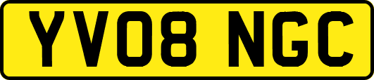 YV08NGC