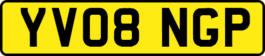 YV08NGP