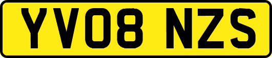 YV08NZS