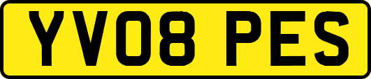 YV08PES
