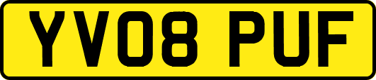 YV08PUF