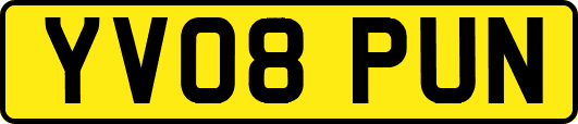 YV08PUN
