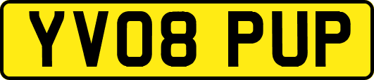 YV08PUP