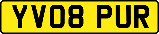 YV08PUR