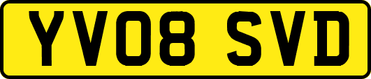YV08SVD