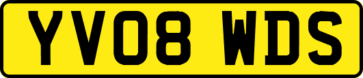 YV08WDS