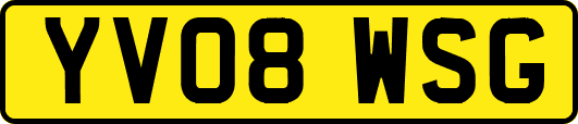 YV08WSG