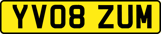 YV08ZUM