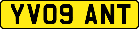 YV09ANT
