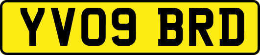 YV09BRD