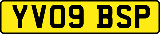 YV09BSP