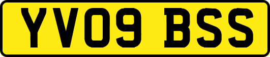 YV09BSS