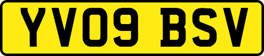 YV09BSV