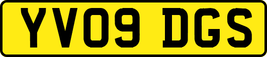 YV09DGS