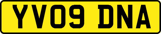 YV09DNA