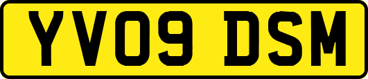 YV09DSM