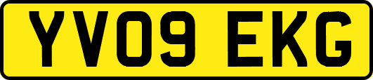 YV09EKG