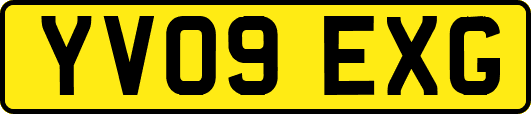 YV09EXG