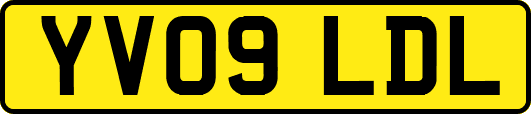 YV09LDL