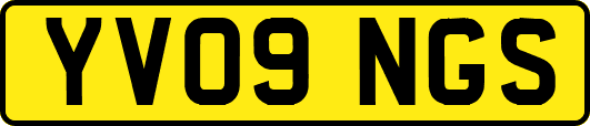 YV09NGS