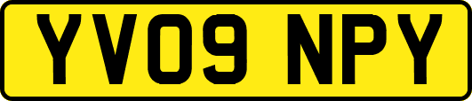 YV09NPY