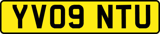 YV09NTU