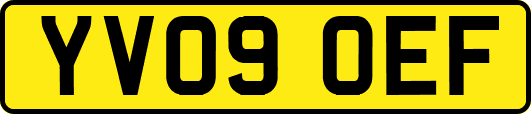 YV09OEF