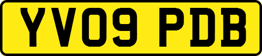 YV09PDB