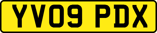 YV09PDX