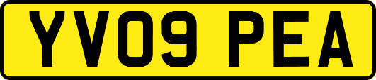 YV09PEA