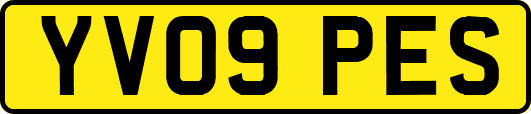 YV09PES