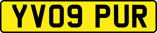 YV09PUR
