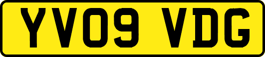 YV09VDG