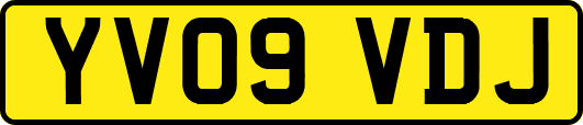 YV09VDJ
